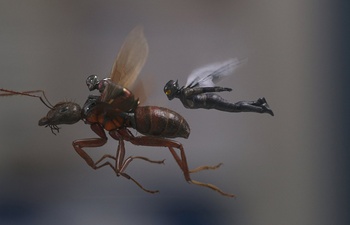 Sorties à la maison : Ant-Man and The Wasp