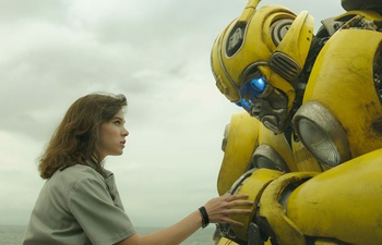 Sorties à la maison : Bumblebee