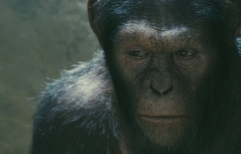 Pré-bande-annonce de Rise of the Planet of the Apes