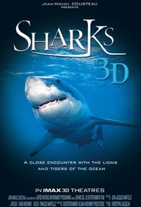 Requins 3D