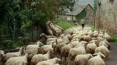 Bande-annonce en français