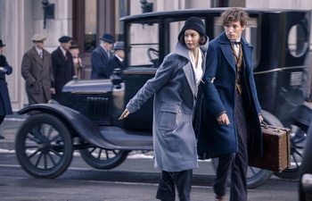 Première pré-bande-annonce pour Fantastic Beasts and Where to Find Them