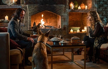 Nouveautés : John Wick: Chapter 3 - Parabellum et A Dog's Journey