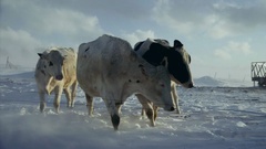 Bande-annonce en français