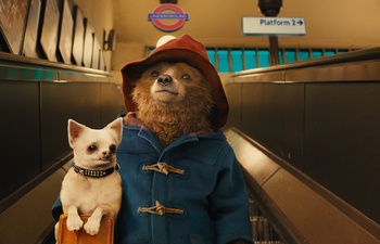 Sorties DVD : Paddington