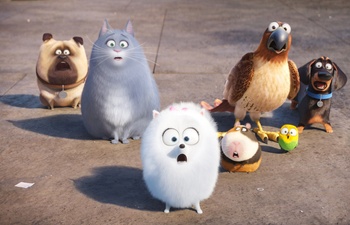 Nouveautés : The Secret Life of Pets