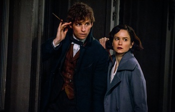 Sorties Blu-Ray et DVD : Fantastic Beasts and Where to Find Them