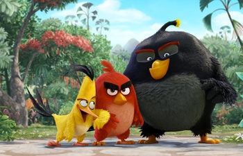 Pré-bande-annonce du film Angry Birds