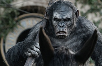 Box-office nord-américain : Dawn of the Planet of the Apes toujours en tête