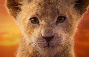 Box-office nord-américain : Disney séduit les cinéphiles avec son nouveau Lion King