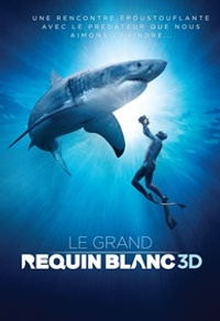 Le grand requin blanc