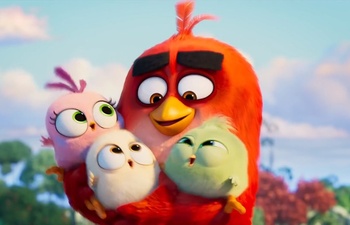 Nouveautés : The Angry Birds Movie 2 et Where'd You Go, Bernadette