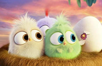 Box-office nord-américain : Seulement 38 millions $ pour The Angry Birds Movie