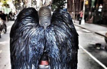 Rencontrez les artisans de Birdman au Cinéma du Parc