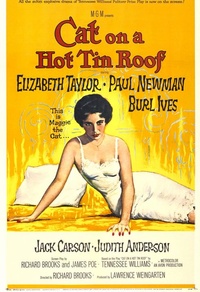 Cat on a Hot Tin Roof