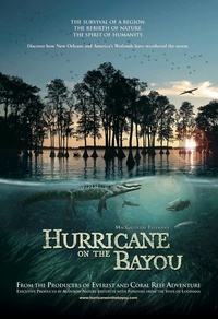 Ouragan sur le bayou