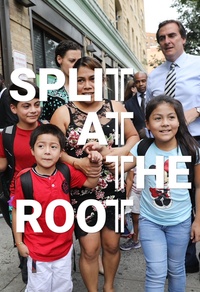Split at the Root