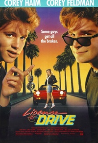 License to Drive