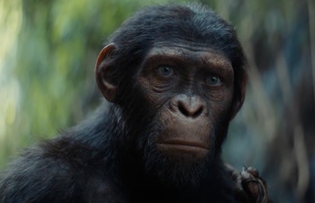 Un premier aperçu de Kingdom of the Planet of the Apes