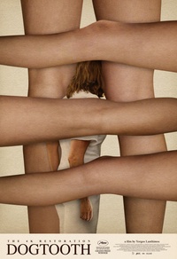 Dogtooth