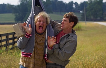 Box-office nord-américain : Dumb and Dumber To devance Big Hero 6