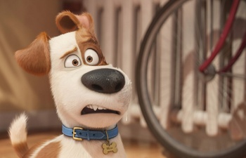 Box-office nord-américain : The Secret Life of Pets devance Ghostbusters