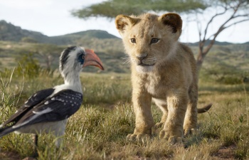 Nouveautés : The Lion King et Les fauves