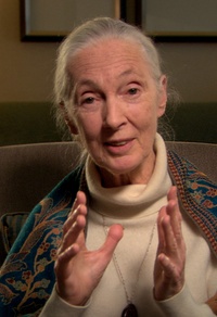 Jane Goodall