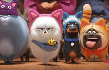 Box-office nord-américain : The Secret Life of Pets 2 remporte la première place