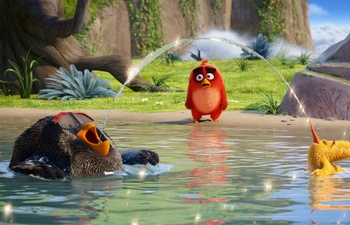 Box-office québécois : Un peu plus d'un demi-million pour les Angry Birds