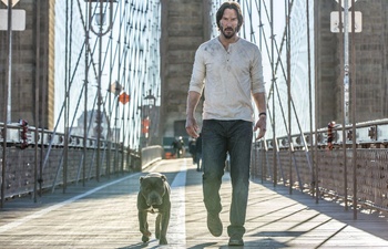 Sorties Blu-Ray et DVD : John Wick: Chapter 2