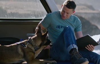 Bandes-annonces de la semaine : Dog avec Channing Tatum et Marry Me avec Jennifer Lopez