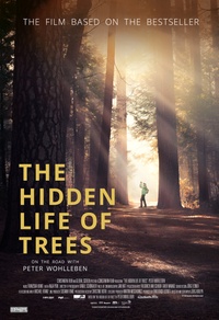 The Hidden Life of Trees