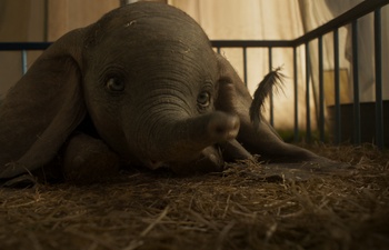 Box-office québécois : Dumbo vole jusqu'au premier rang