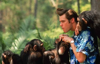 Un Ace Ventura 3 en chantier pour Amazon Prime