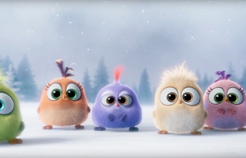 Les Hatchlings de The Angry Birds Movie vous souhaitent Joyeux Noël!