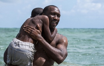 L'erreur monumentale de la finale des Oscars 2017 enfin expliquée