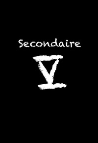 Secondaire V