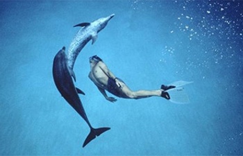 Disney veut transformer le documentaire Dolphin Boy en un film narratif