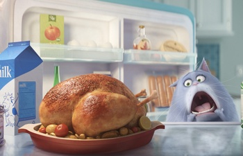 Box-office nord-américain : 103 millions $ pour The Secret Life of Pets 