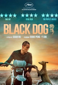 Black Dog