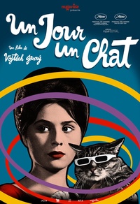 The Cassandra Cat
