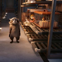 Image film à l'affiche à venir