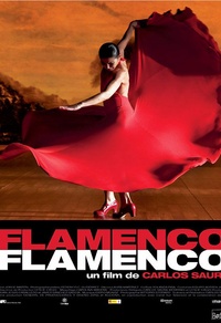 Flamenco, Flamenco