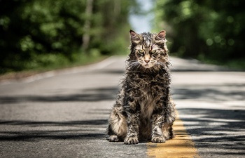 Bande-annonce en français du nouveau Pet Sematary de Stephen King