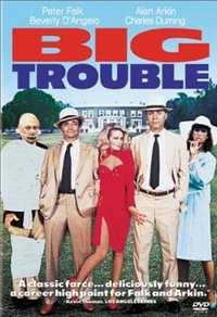 Big Trouble