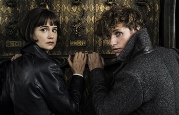 Nouveautés : Fantastic Beasts: The Crimes of Grindelwald et Instant Family