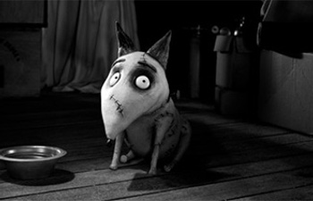 Sorties DVD : Frankenweenie