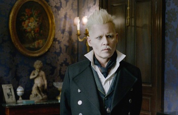 Johnny Depp forcé de quitter la franchise Fantastic Beasts