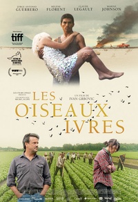 Les oiseaux ivres